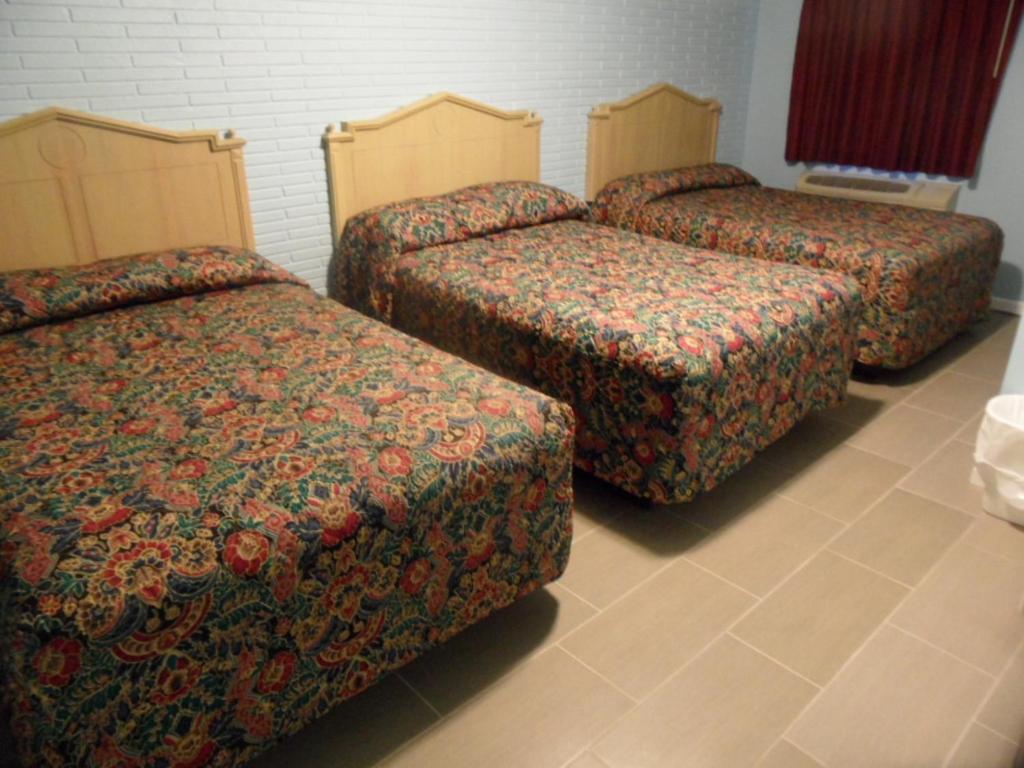 Franklin Terrace Motel Seaside Heights Rum bild